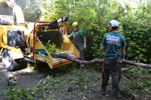 tree services Odenville